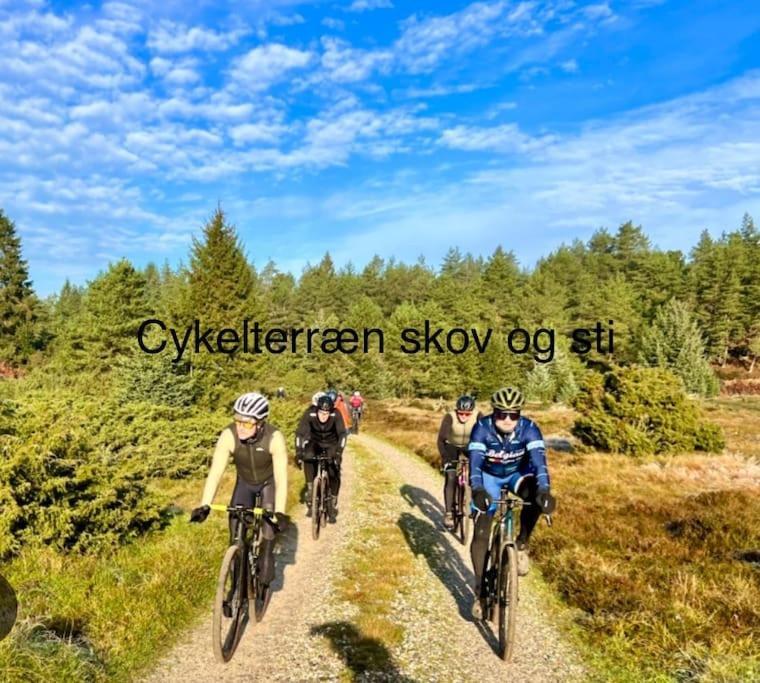 Mindedalen - Idyl Taet Pa Alt Og Helt I Fred