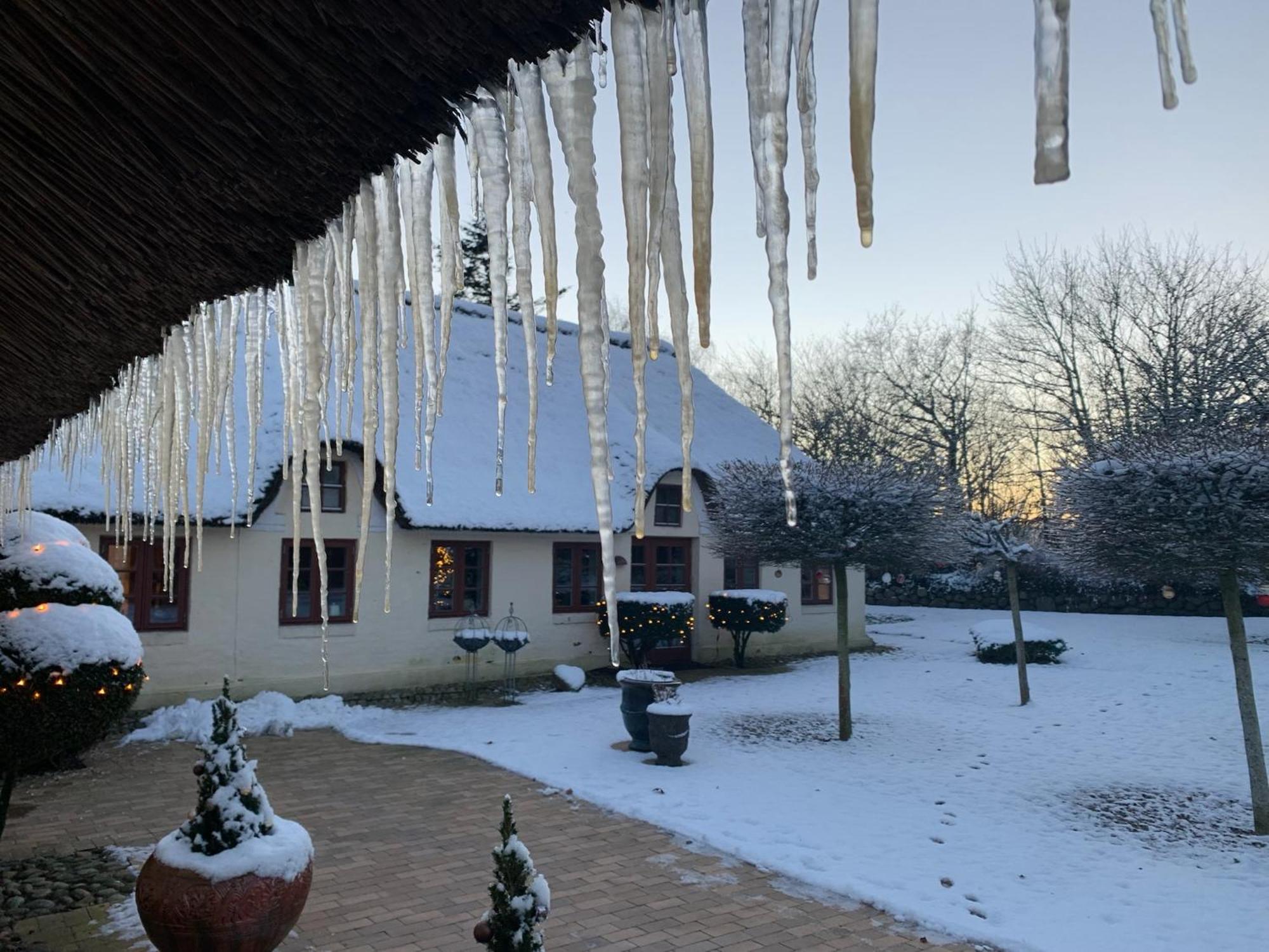 Apartment Mindedalen - Idyl Taet Pa Alt Og Helt I Fred Billum