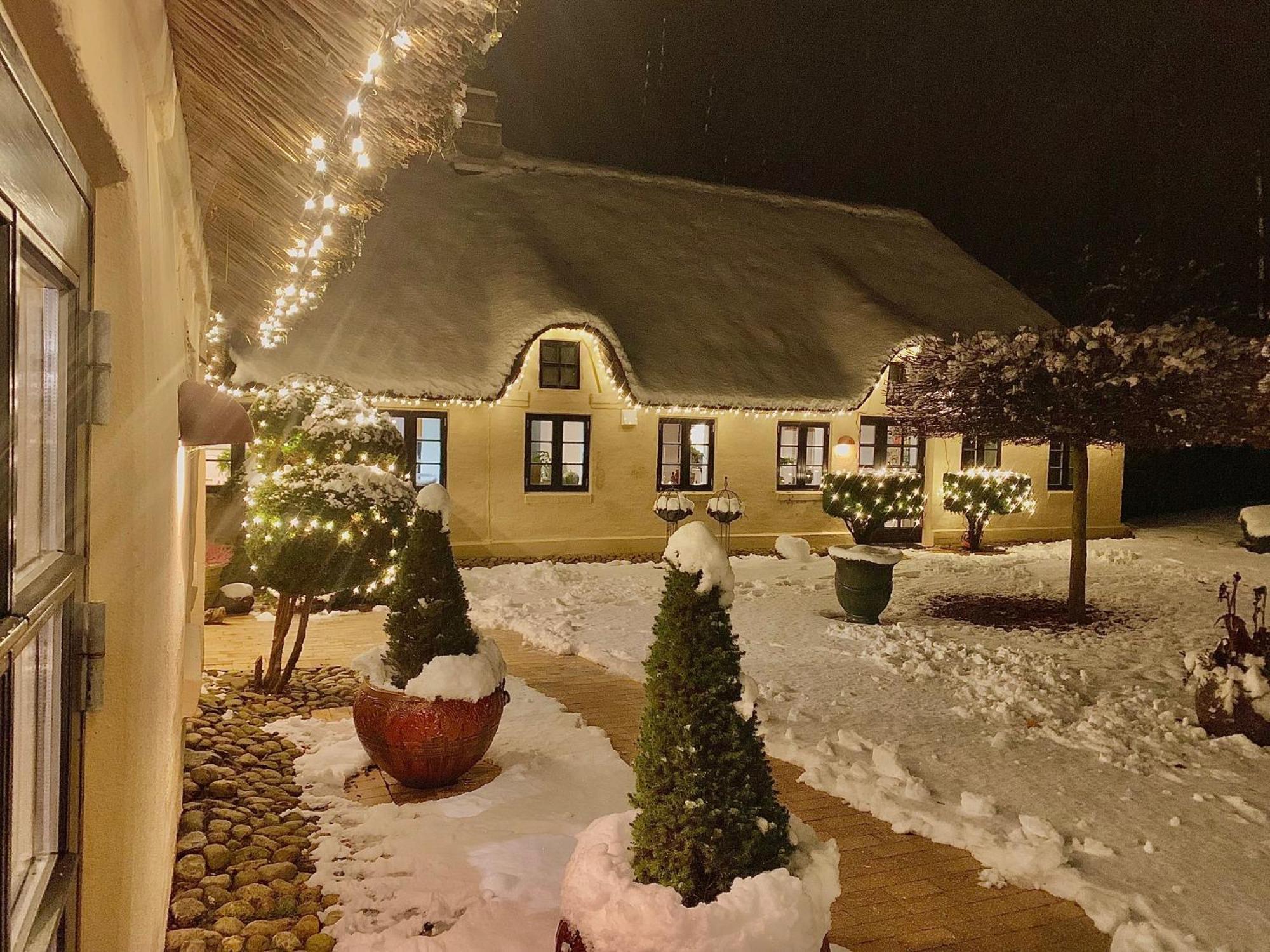 Apartment Mindedalen - Idyl Taet Pa Alt Og Helt I Fred